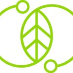 紙 パッケージング 持続可能なイノベーション